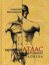 Сапин М. Р. Карманный атлас анатомии человека. Москва, 1999. Большая ...
